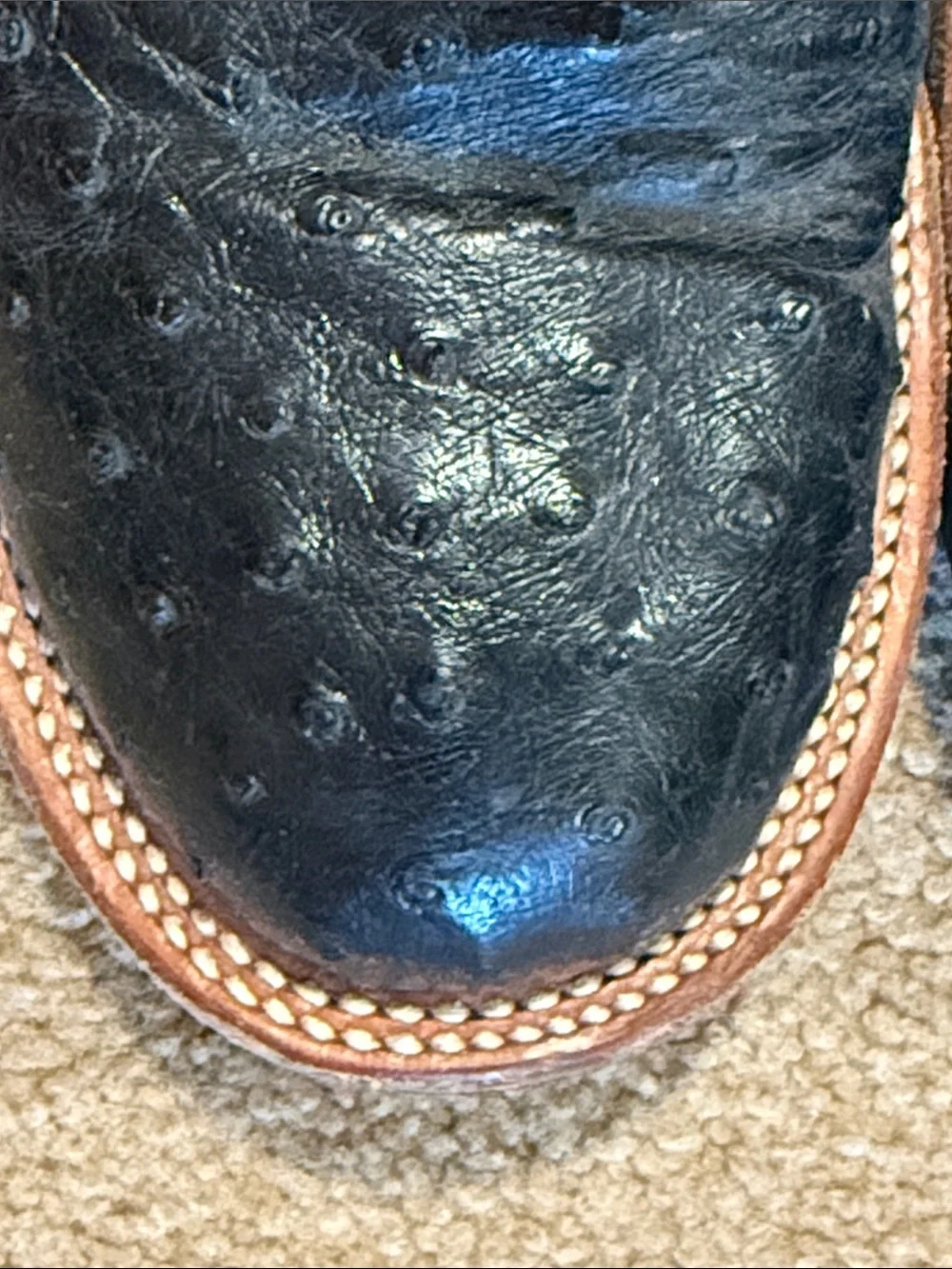 Lucchese premium women’s